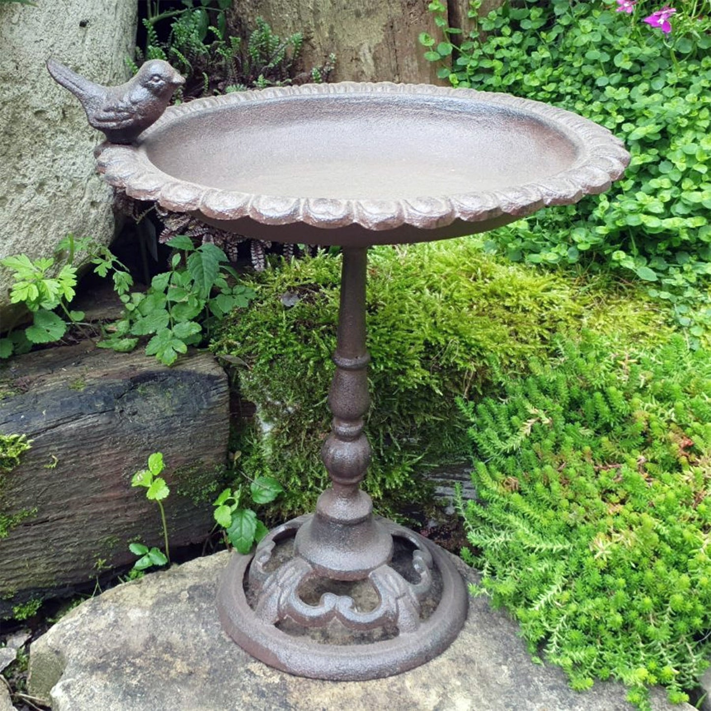 Oval Bird Bath Cast Iron Ornate Small Feeder Stand