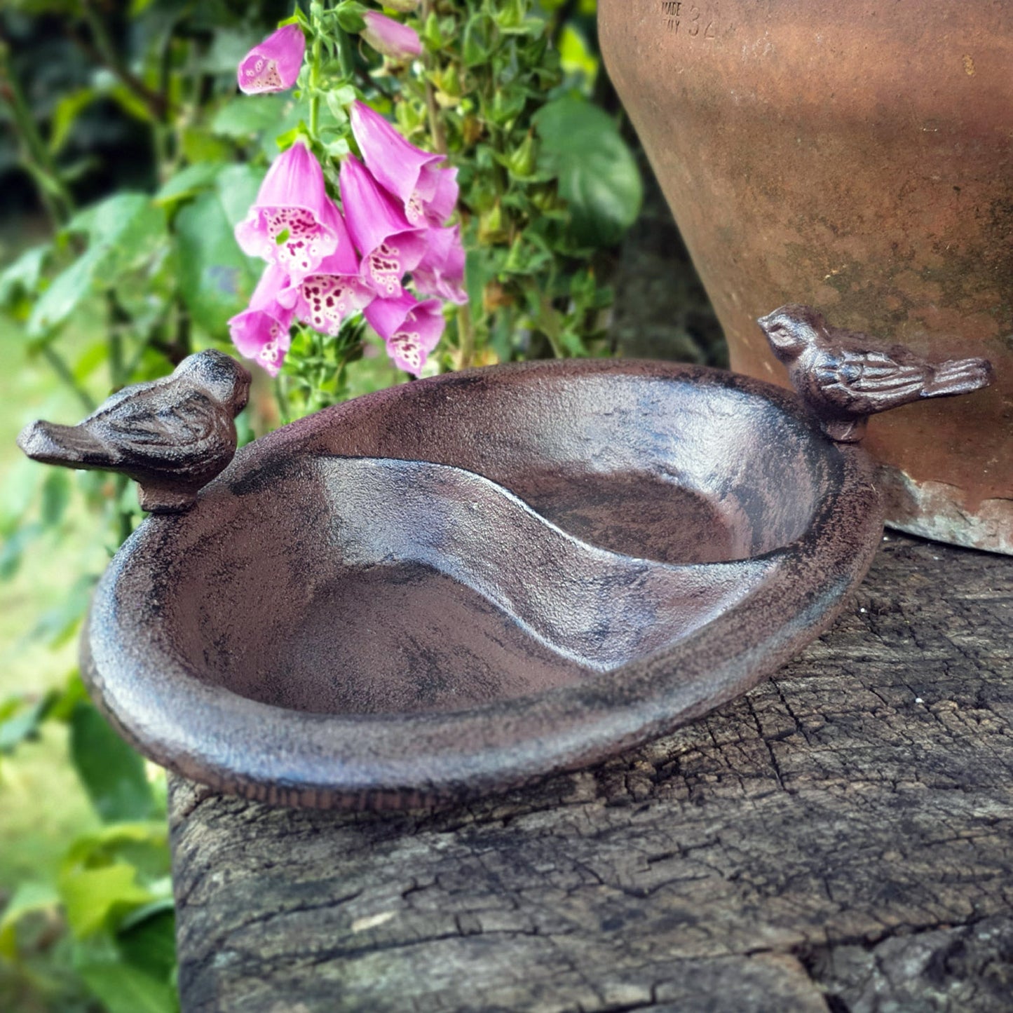 Cast Iron Bird Feeder Dish with 2 Compartments