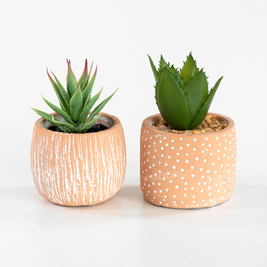 Set of 2 Small Artificial Succulent House Plant Decorations