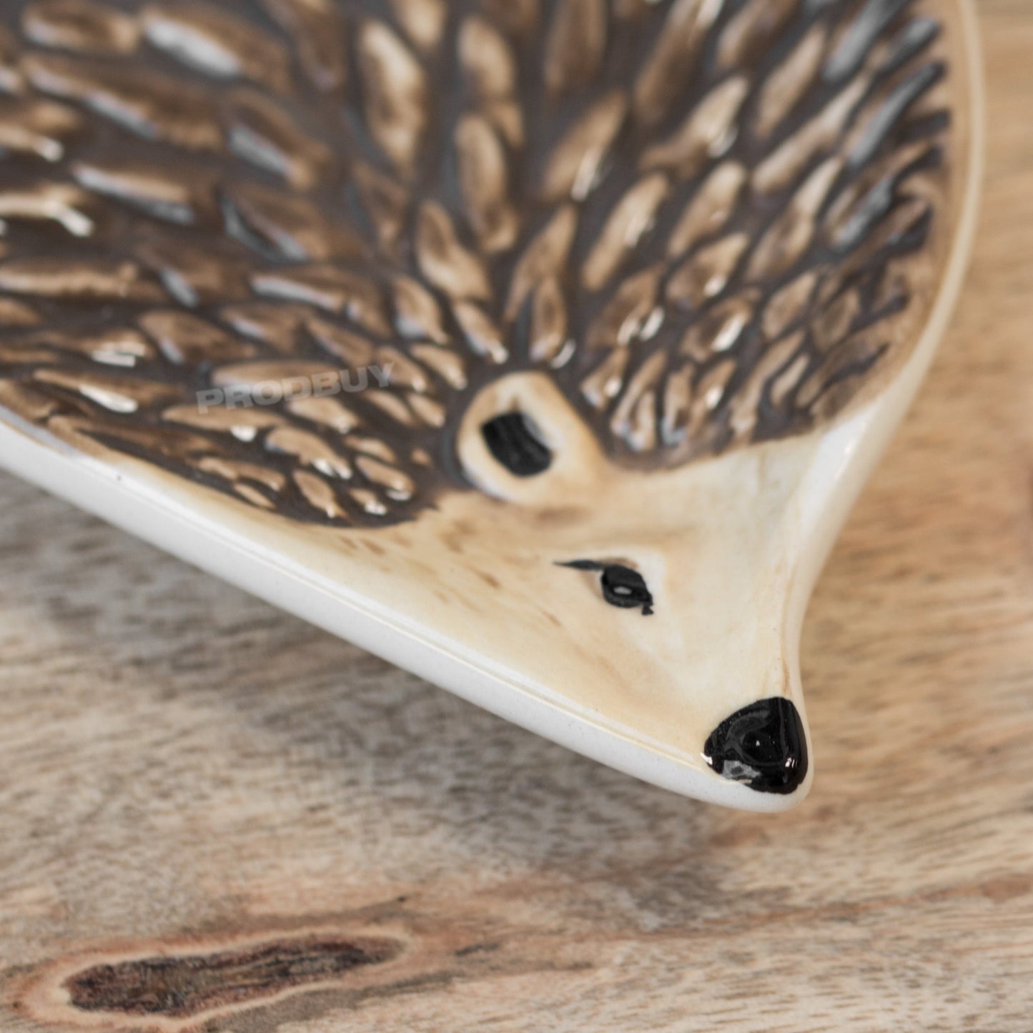 Hedgehog Shaped Ceramic Teabag Tidy