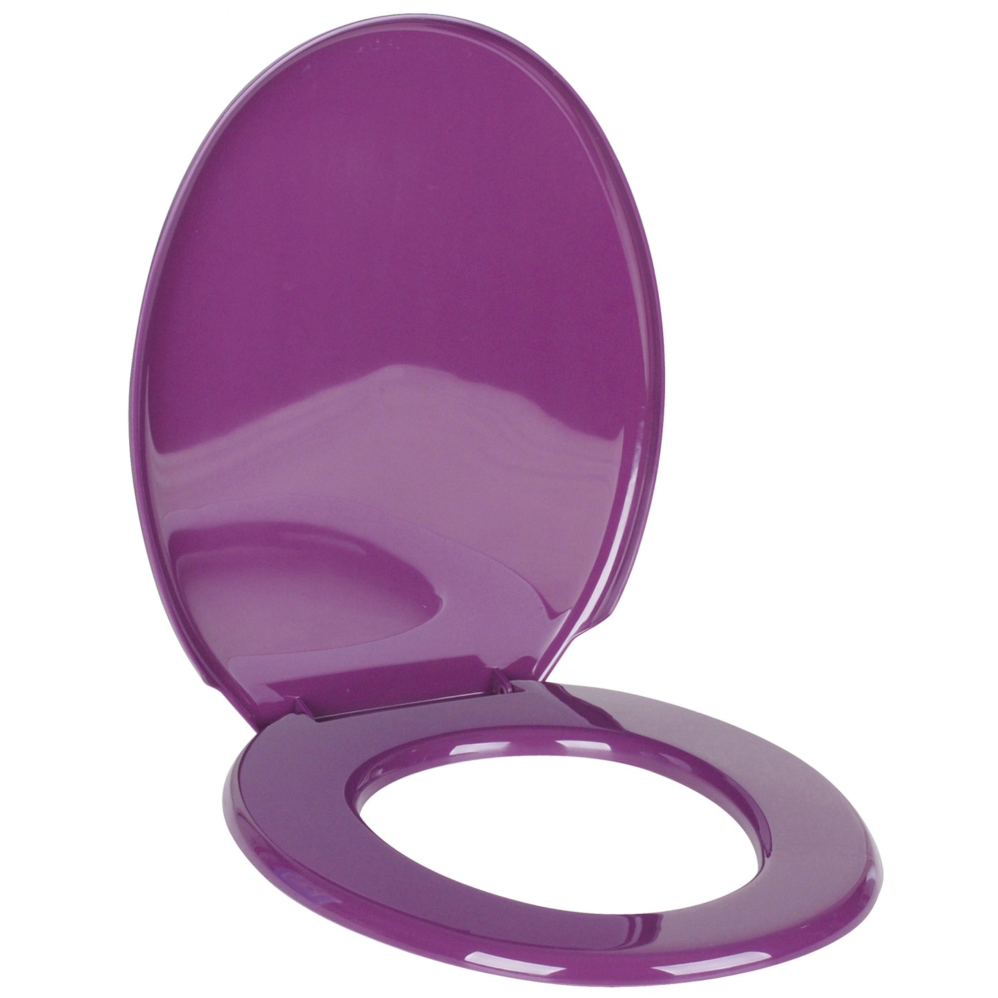 Universal Oval Shape Plastic Toilet Seat