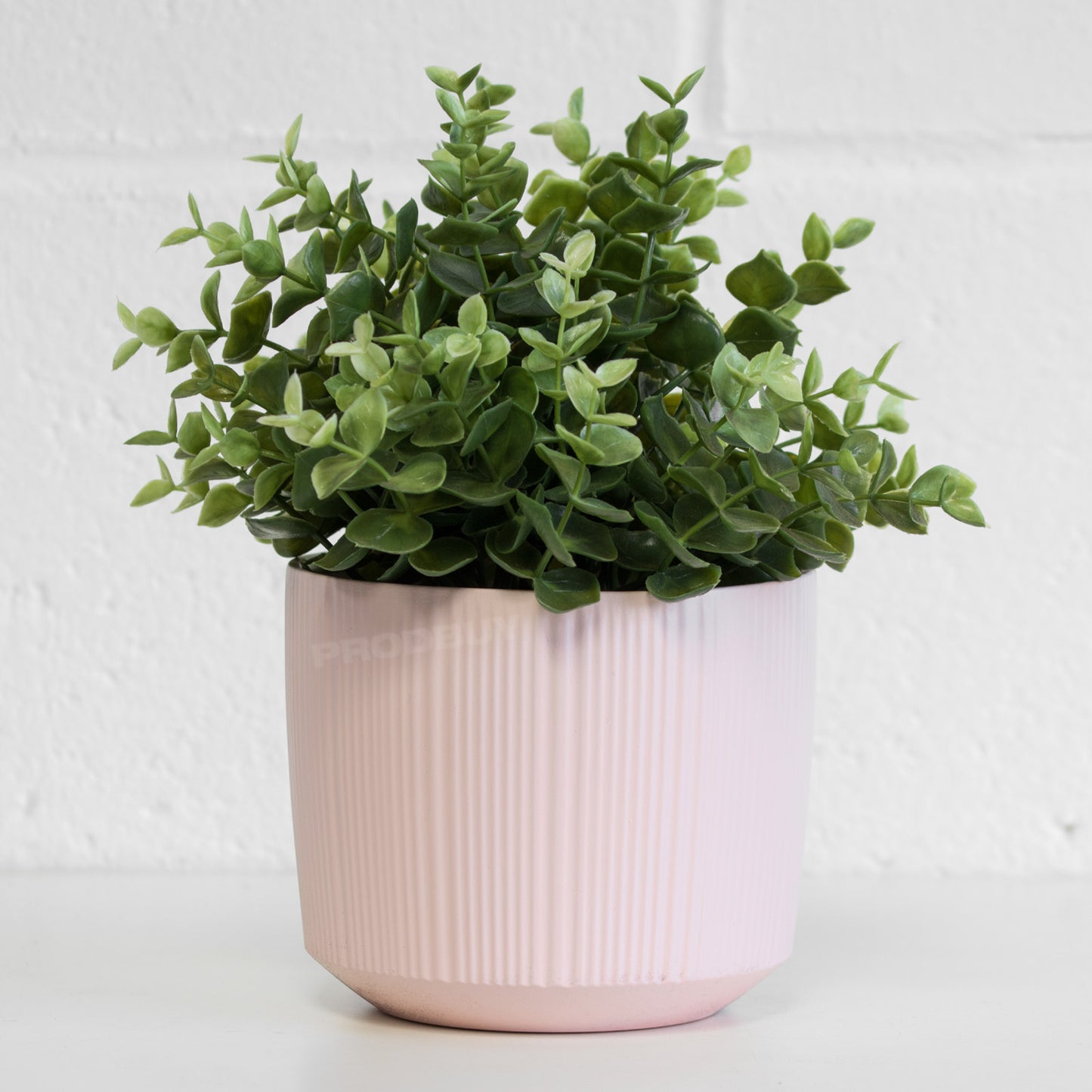 Set of 4 Small Pastel Ceramic House Plant Pots