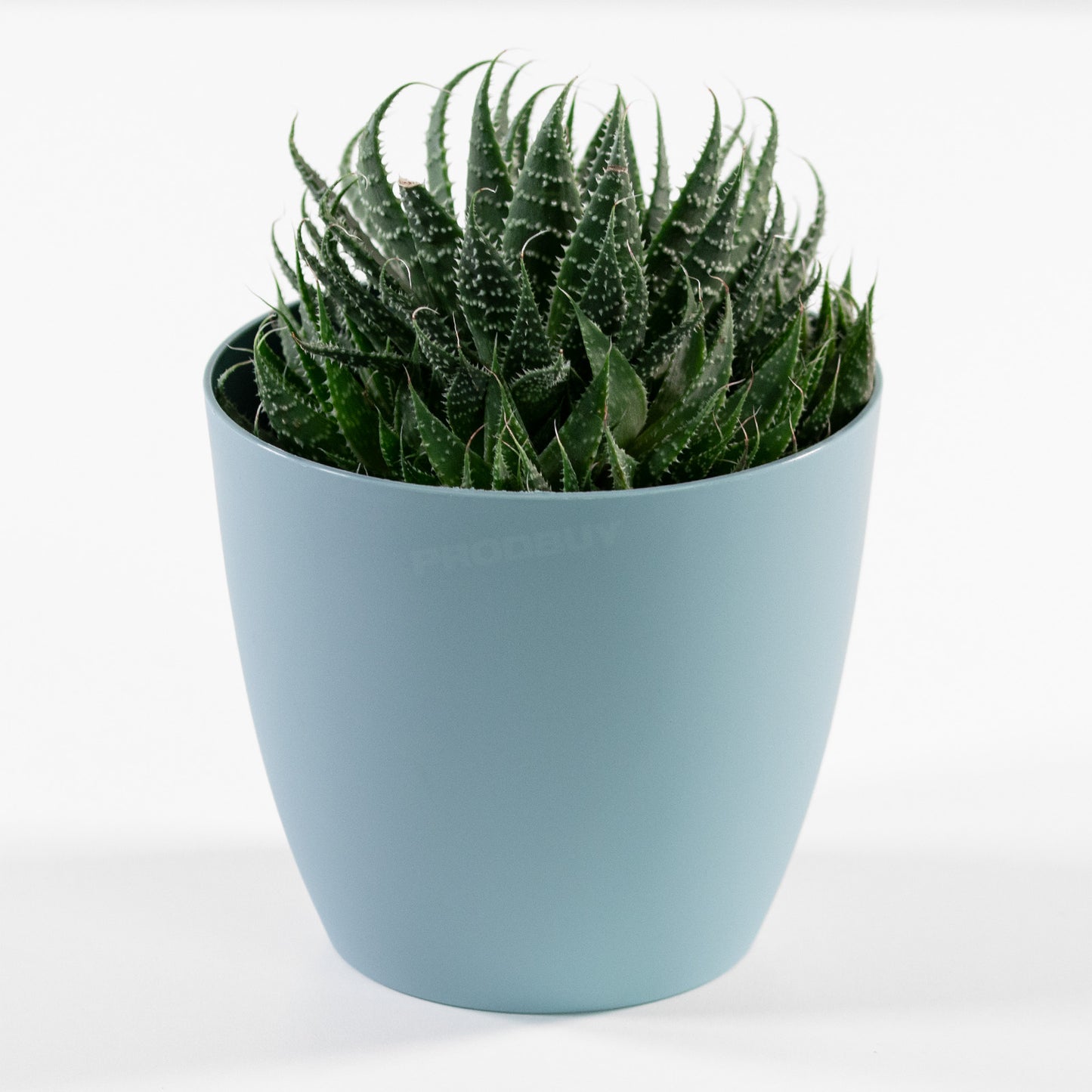 Small Ella Round Plastic Indoor House Plant Pot Cover