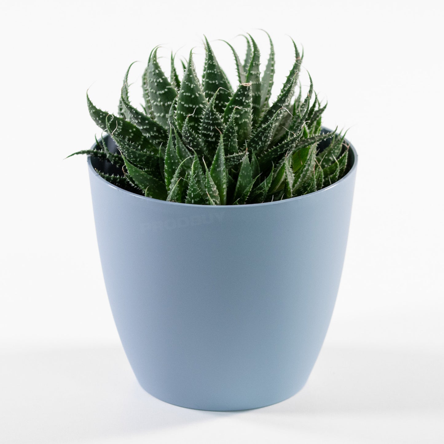 Small Ella Round Plastic Indoor House Plant Pot Cover