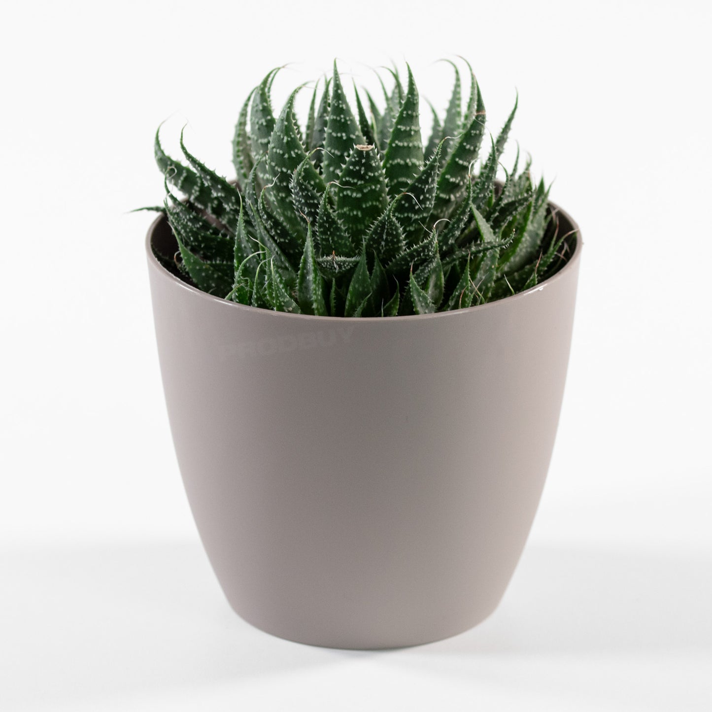 Small Ella Round Plastic Indoor House Plant Pot Cover