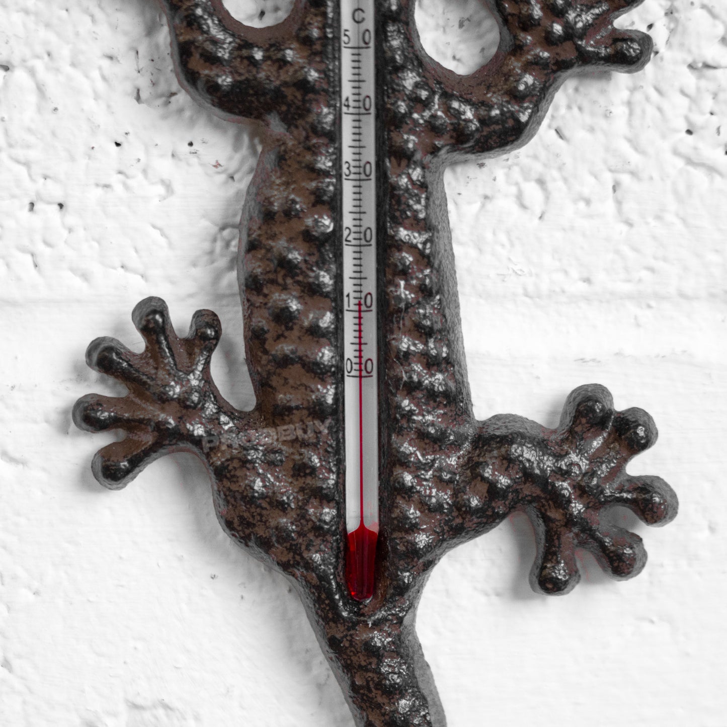 Cast Iron Lizard Thermometer Wall Hanging Ornament