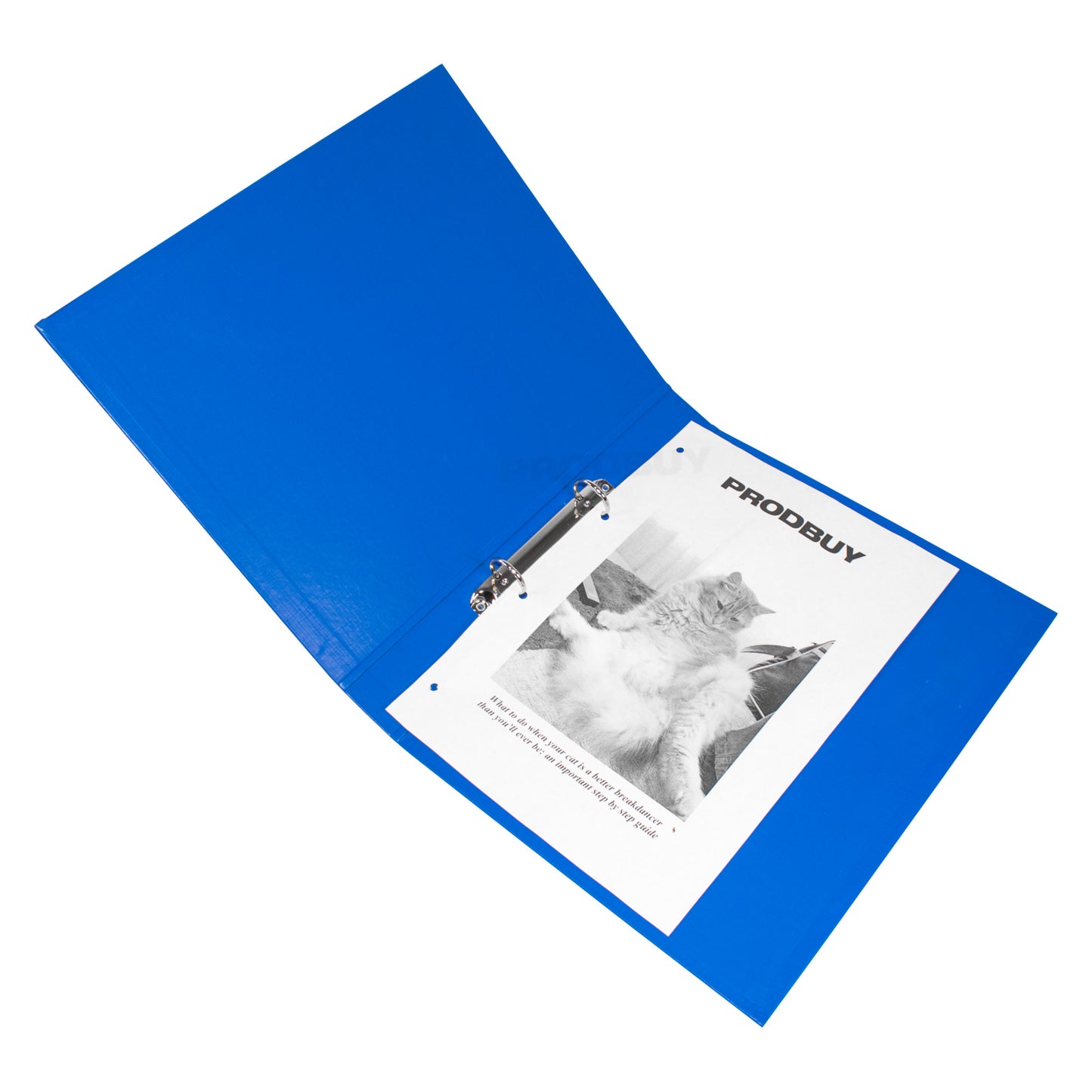Set of 5 Polypropylene Two Ring Binders A4 Files with Blue Colour