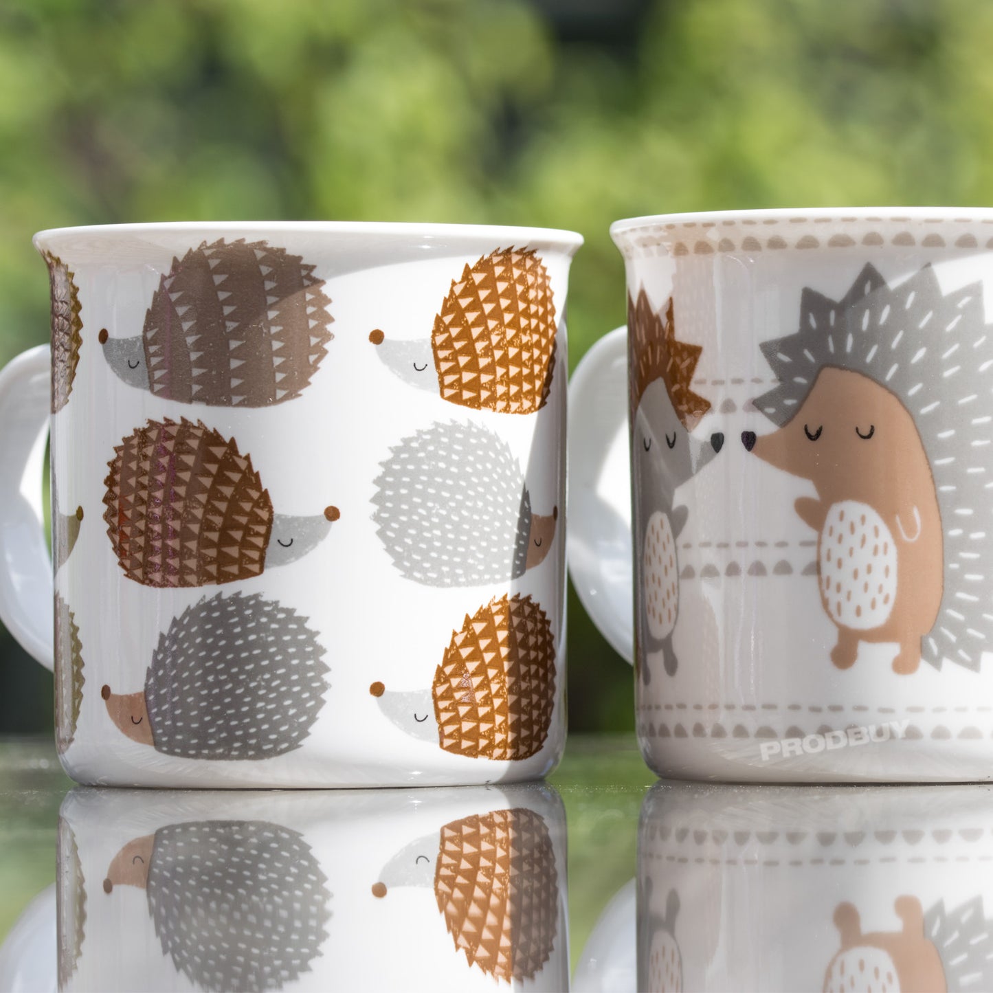 Set of 2 Hedgehog 13oz Coffee Mugs