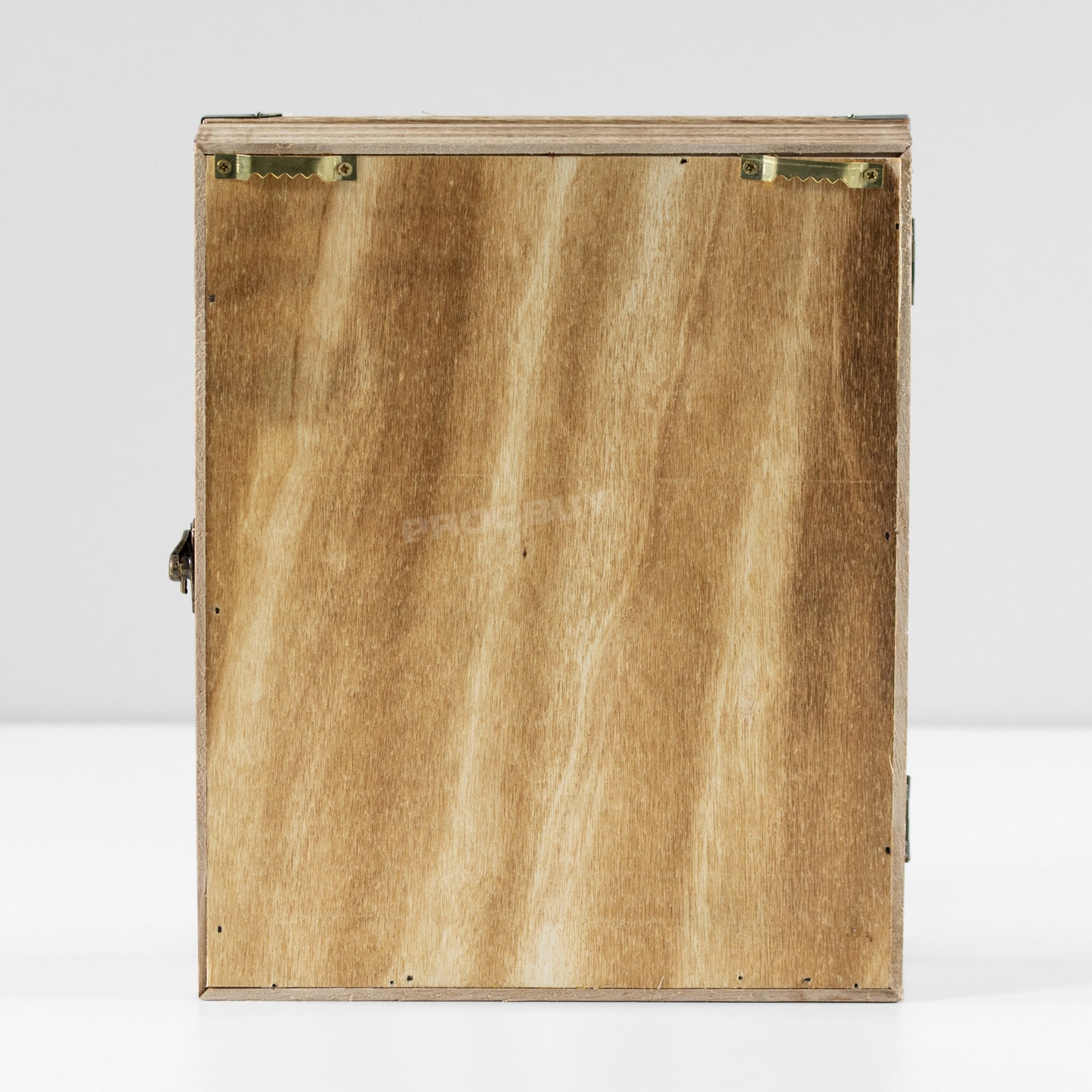 General Store Key Storage Cabinet with 6 Internal Hooks