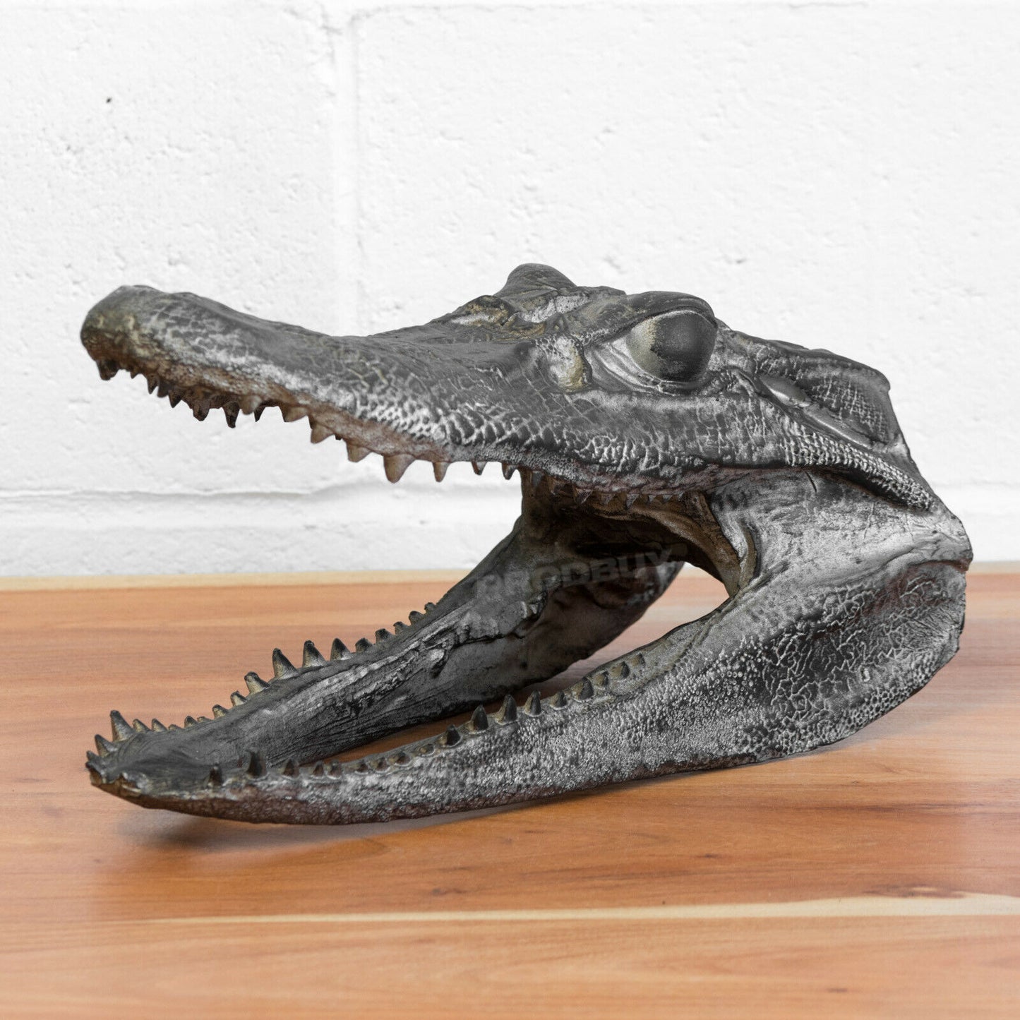 Crocodile Head Decorative Ornament 39cm Long