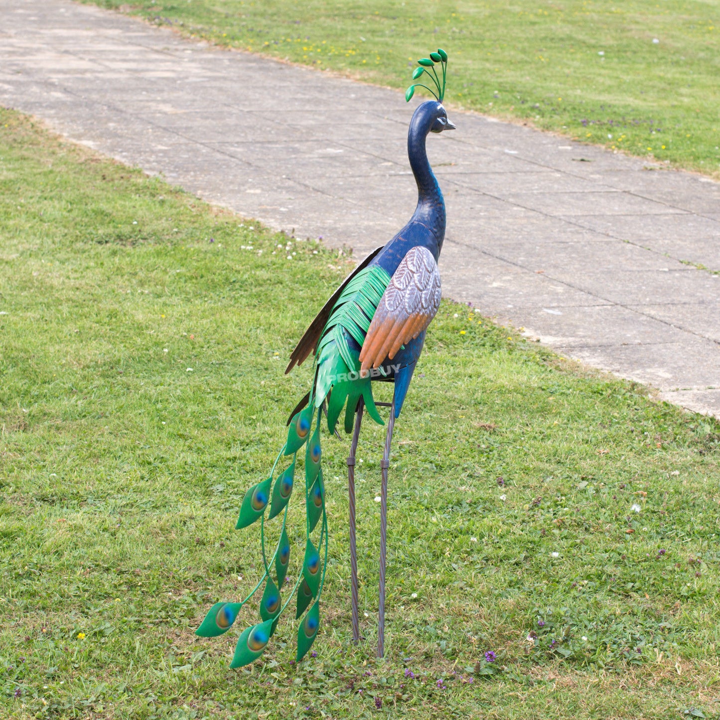 Large 100cm Blue Peacock Metal Garden Ornament