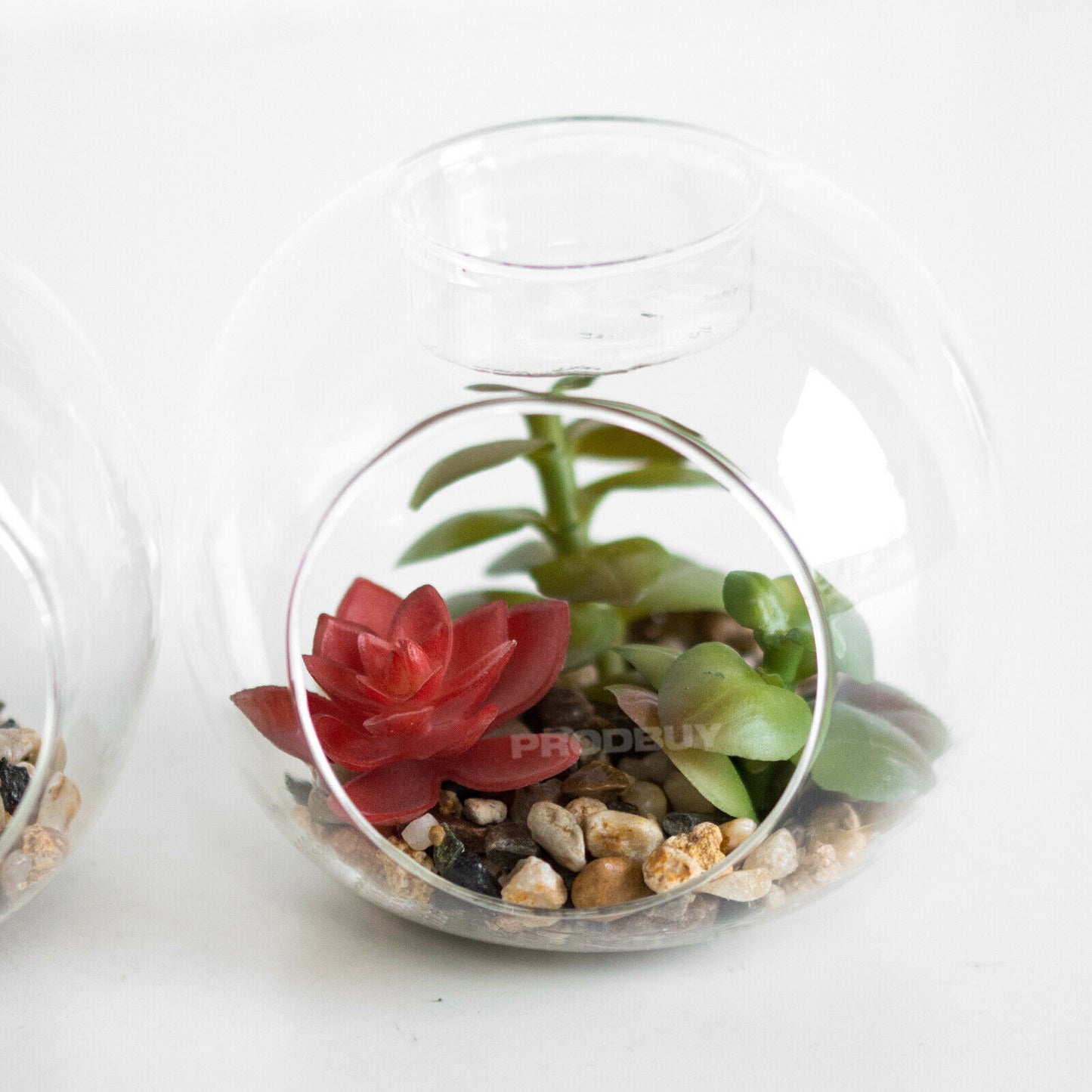 Set of 3 Artificial Cactus Glass Tealight Candle Holders