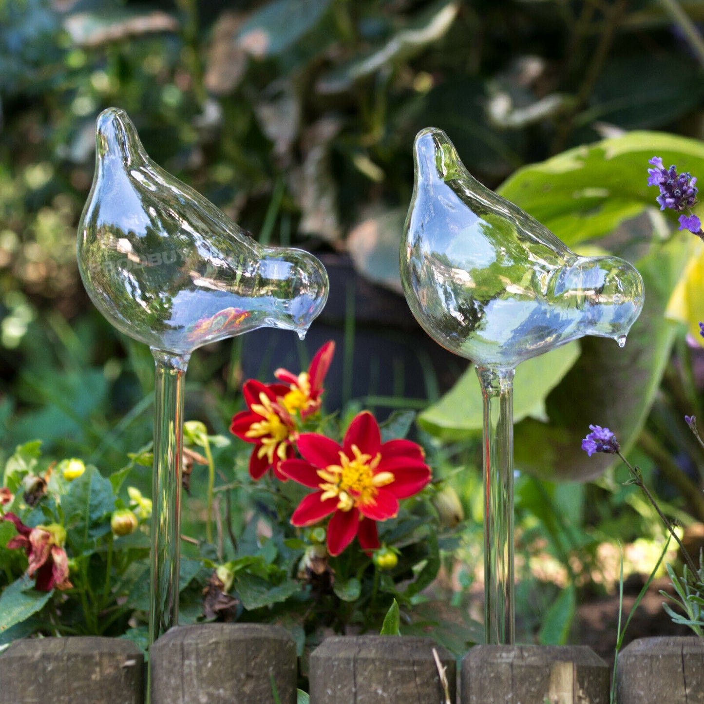 Set of 4 Glass Bird Garden Watering Sticks