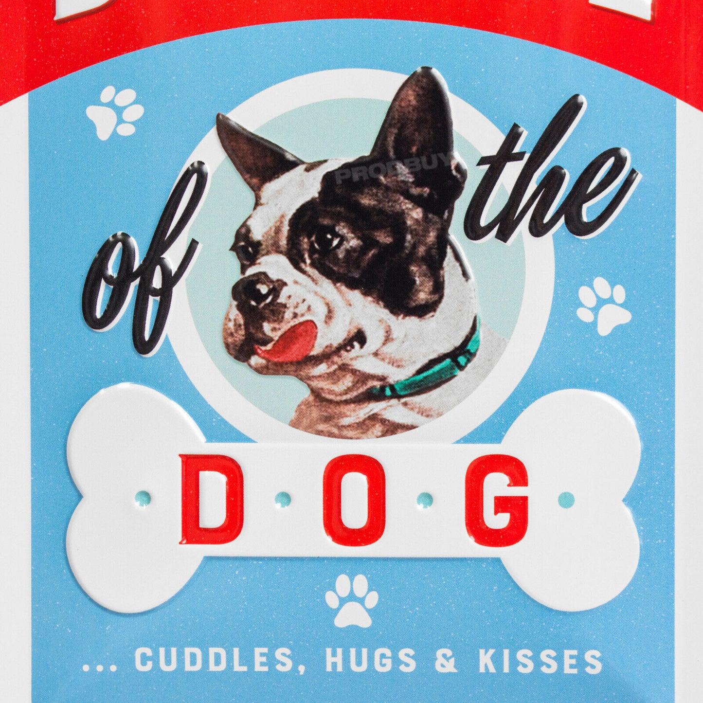 French Bulldog 'Beware Of The Dog' 20cm Metal Wall Sign