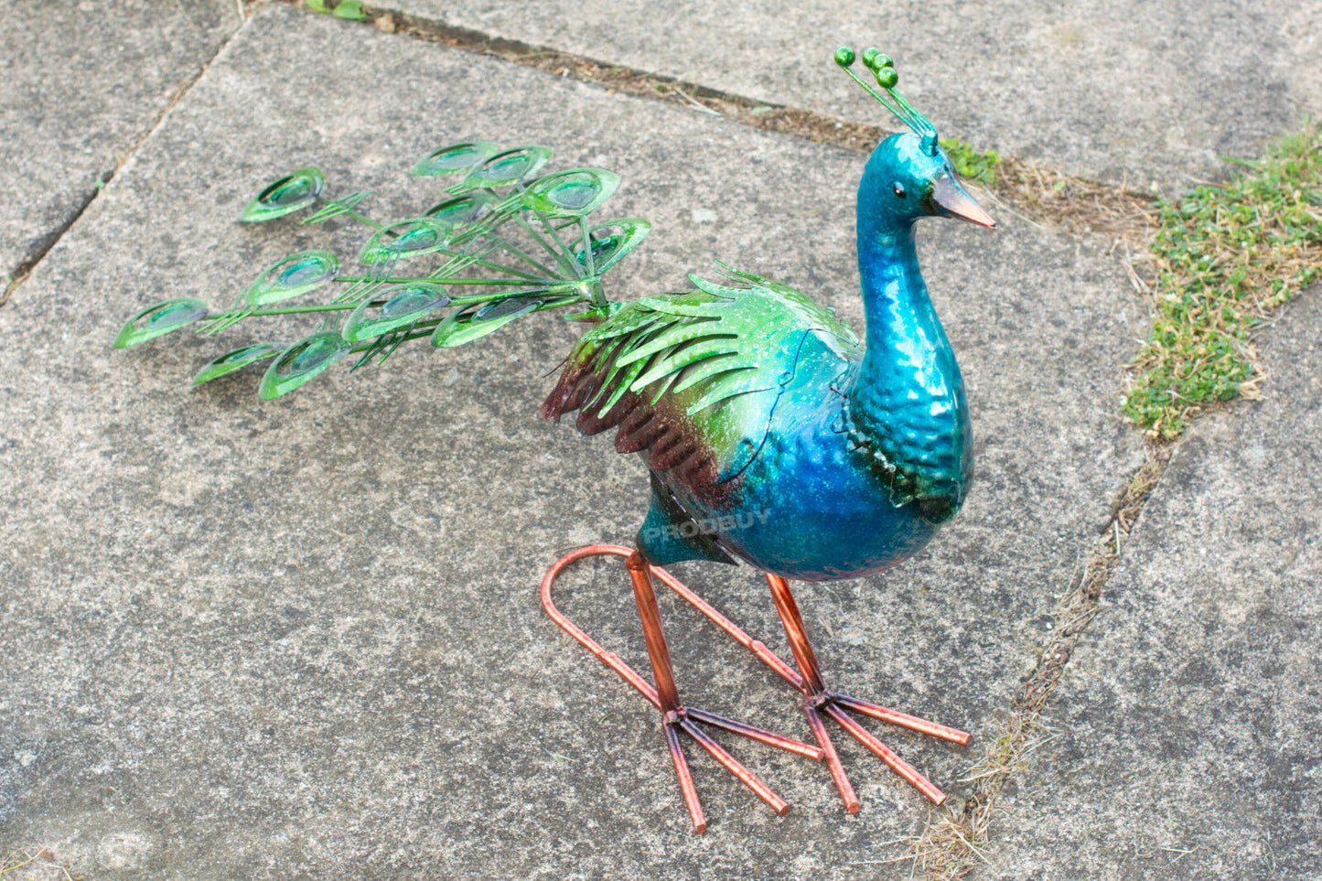 Large Exotic Peacock Metal Garden Ornament