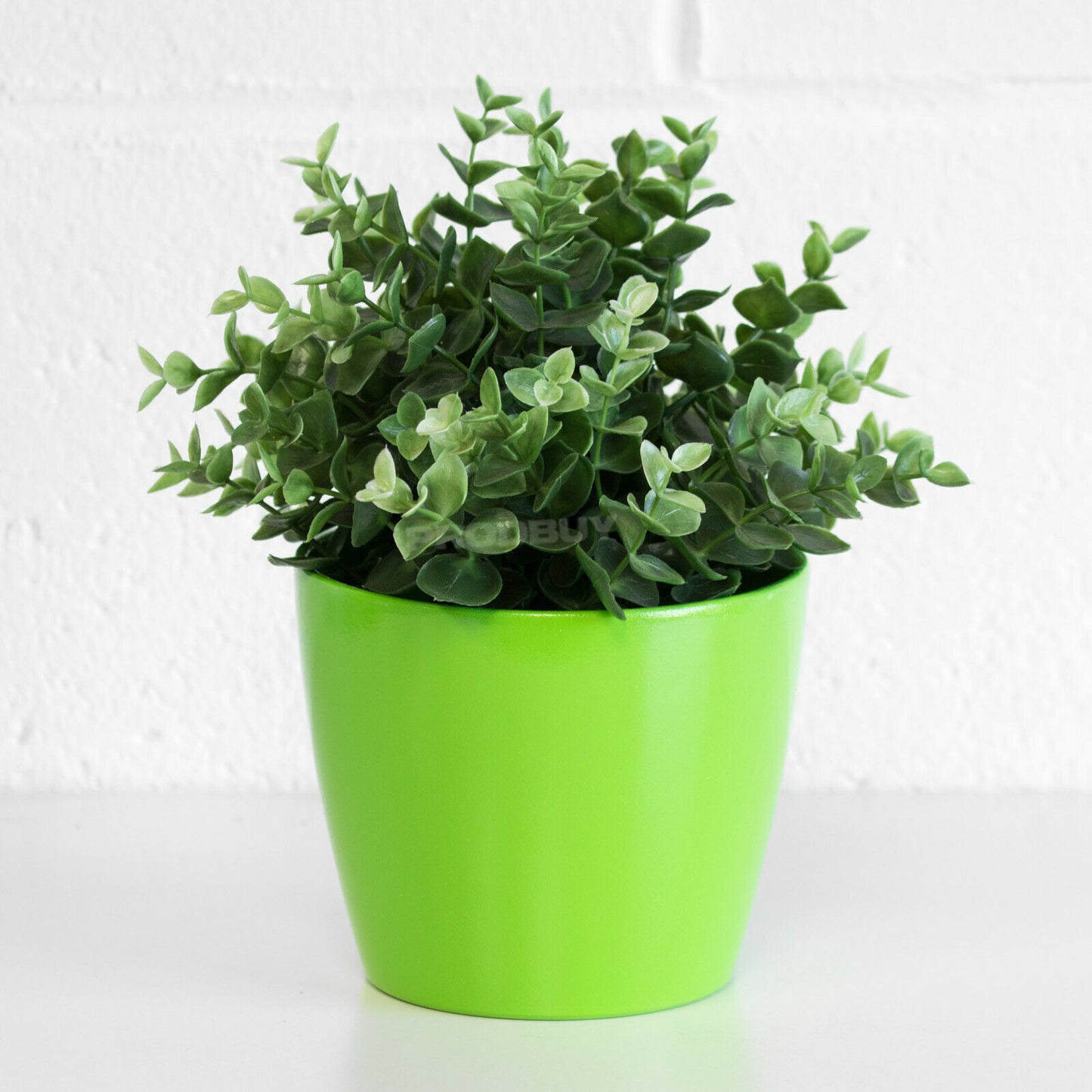 Colour Ceramic 1 Litre Plant Pot Cover