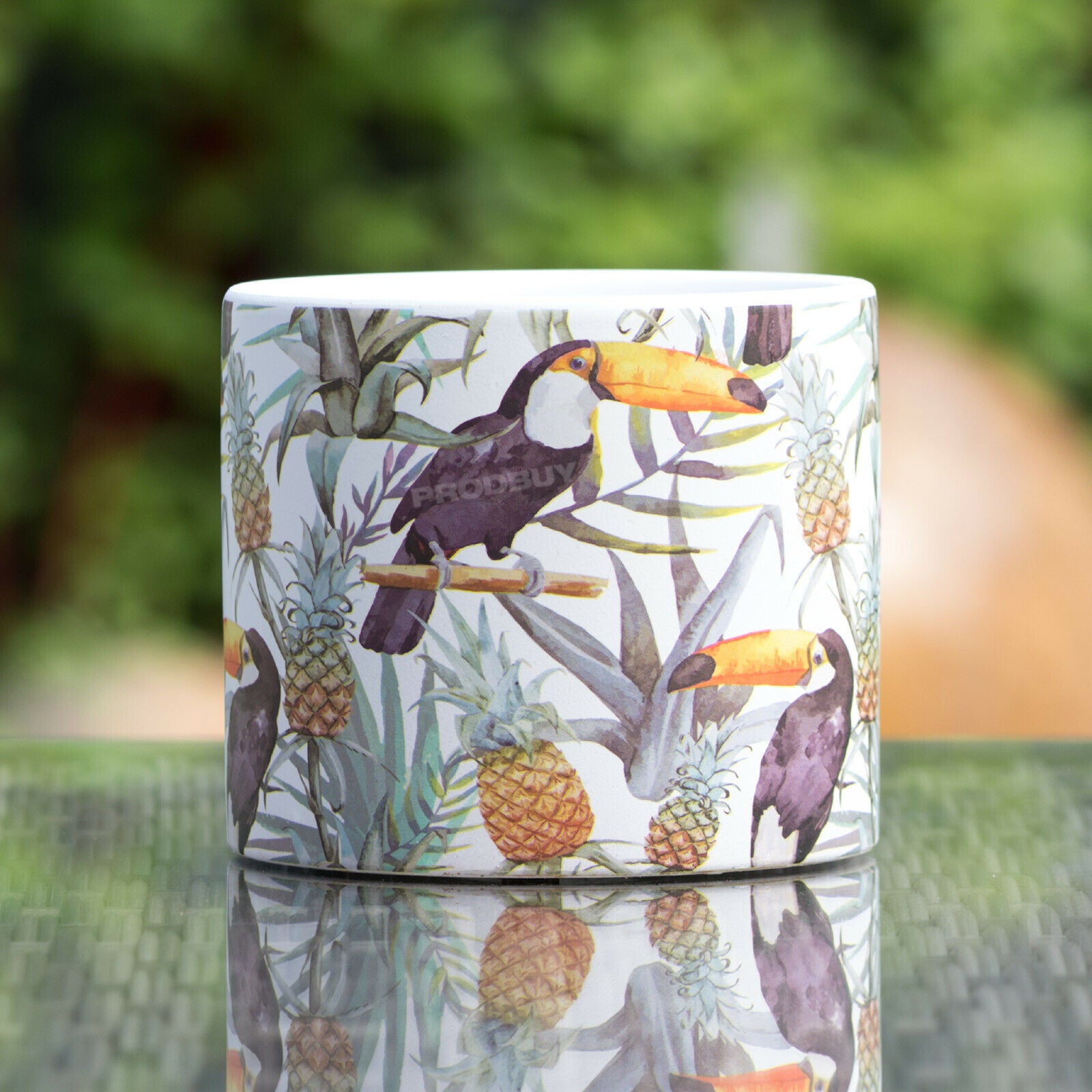plant pot 12cm Tropical Toucan 12cm Plant Pot Small Ceramic Indoor Cover – Robert David Home