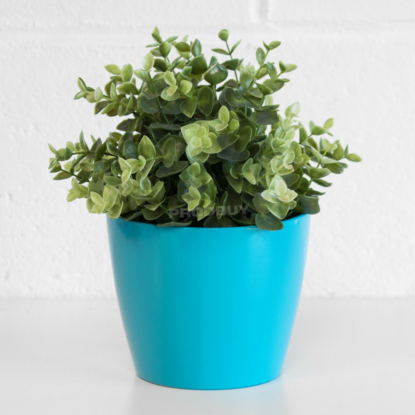 Colour Ceramic 1 Litre Plant Pot Cover