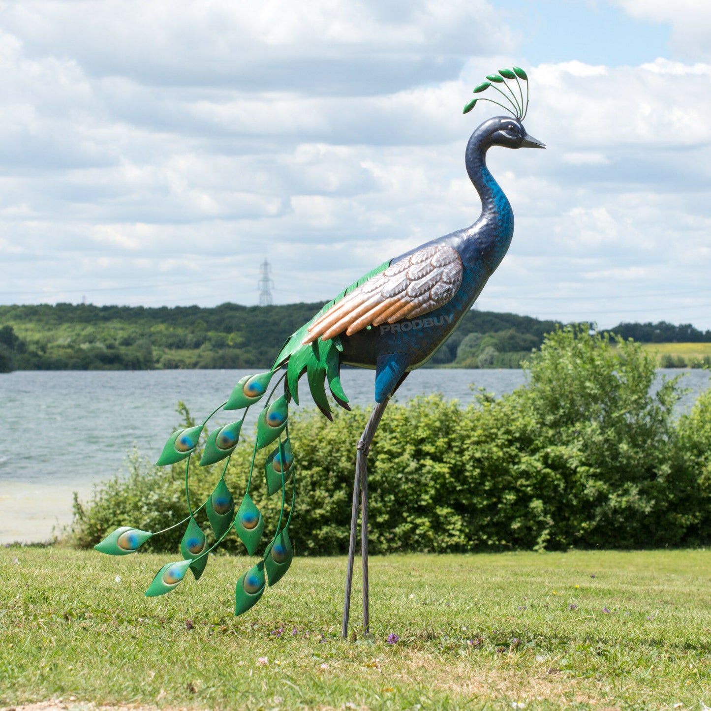 Large 100cm Blue Peacock Metal Garden Ornament