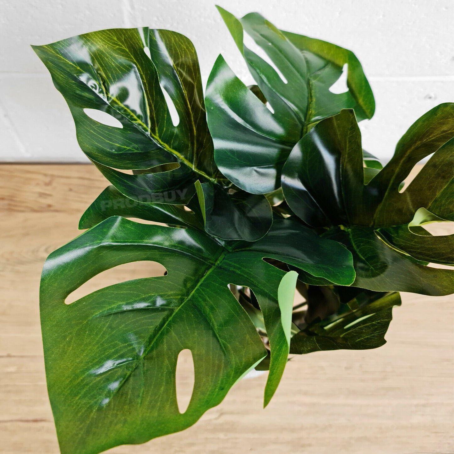 Large 50cm Artificial Cheese Leaf Indoor Plant & Pot