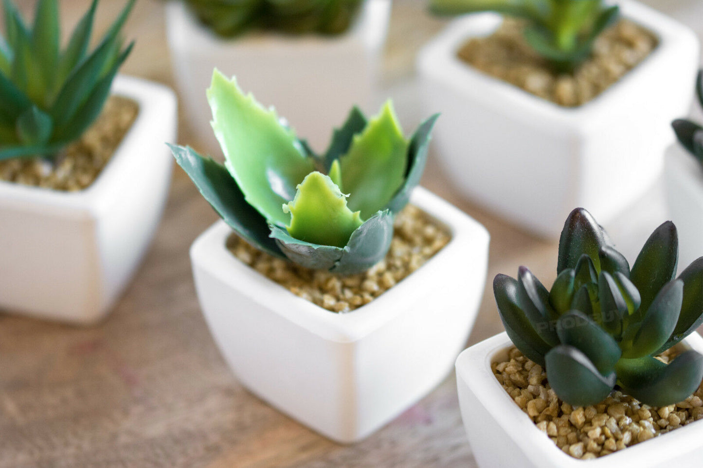 Set of 6 Miniature Artificial Indoor House Office Plants in Pots