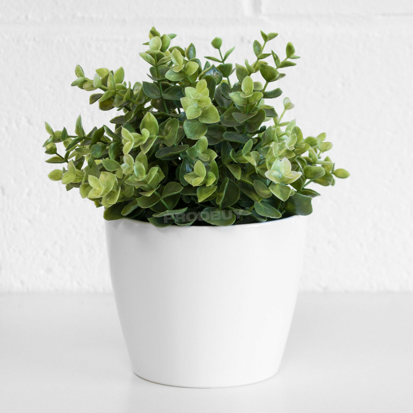 Colour Ceramic 1 Litre Plant Pot Cover