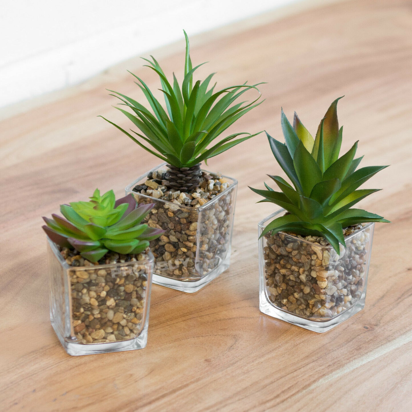 Set of 3 Artificial Succulents in Glass Jars