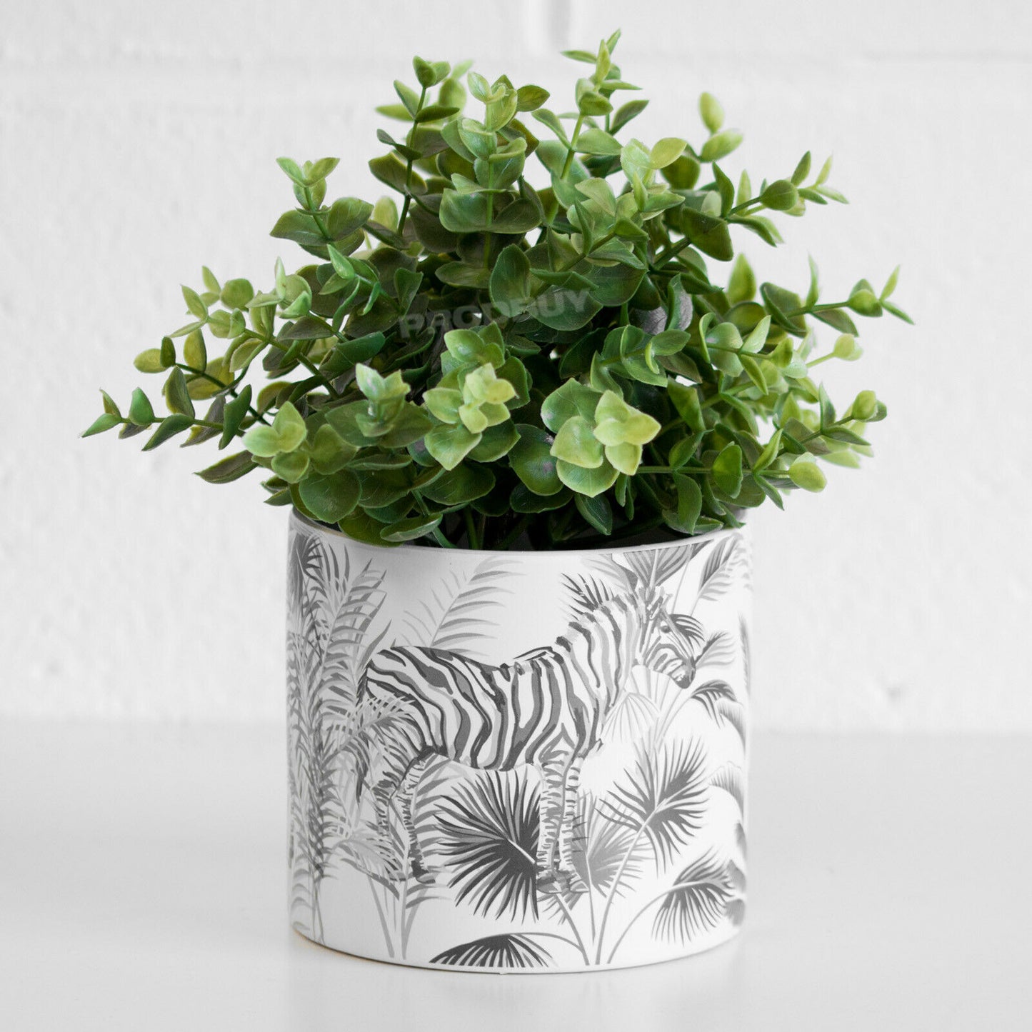 White Zebra Medium 13cm Plant Pot