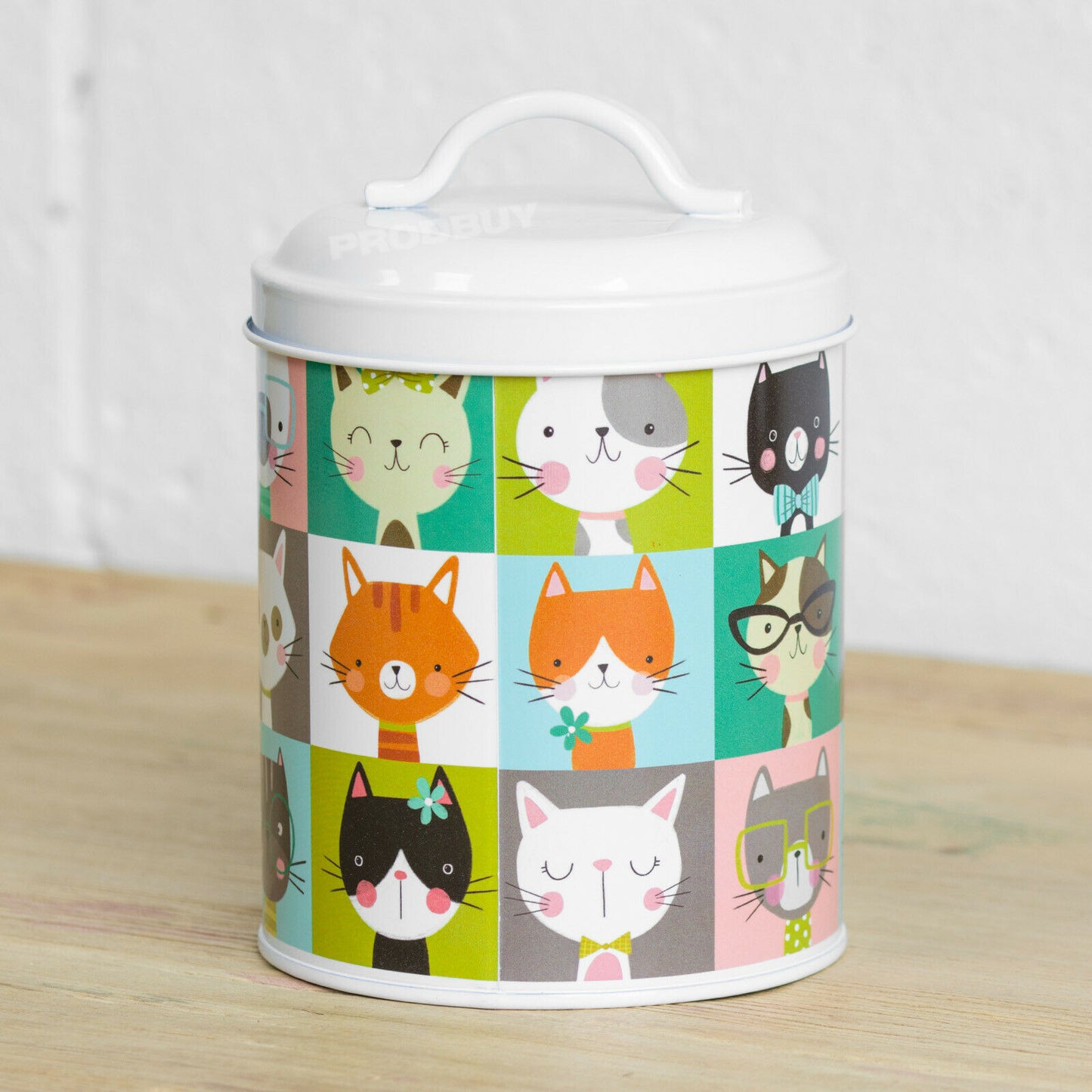 Cat Pawtraits 1L Treat Biscuit Storage Tin