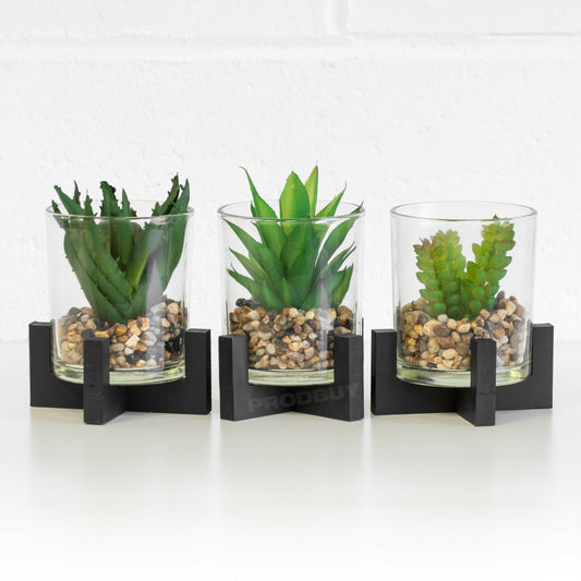 Small Artificial Cactus Succulent In Stand & Glass Pot