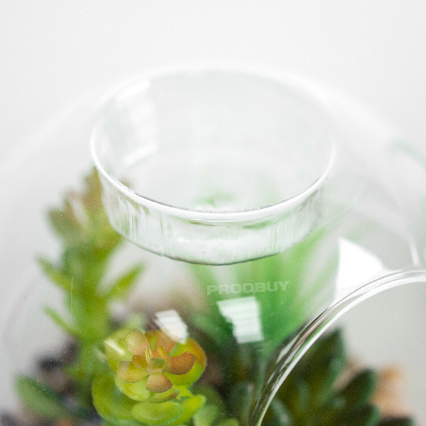 Set of 3 Artificial Cactus Glass Tealight Candle Holders