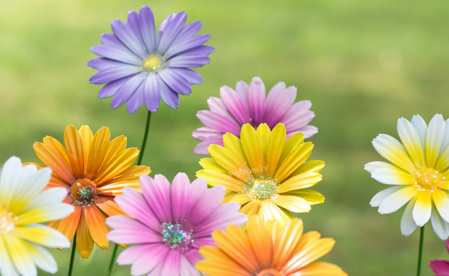Set of 12 Colour Metal Flower Garden Stakes