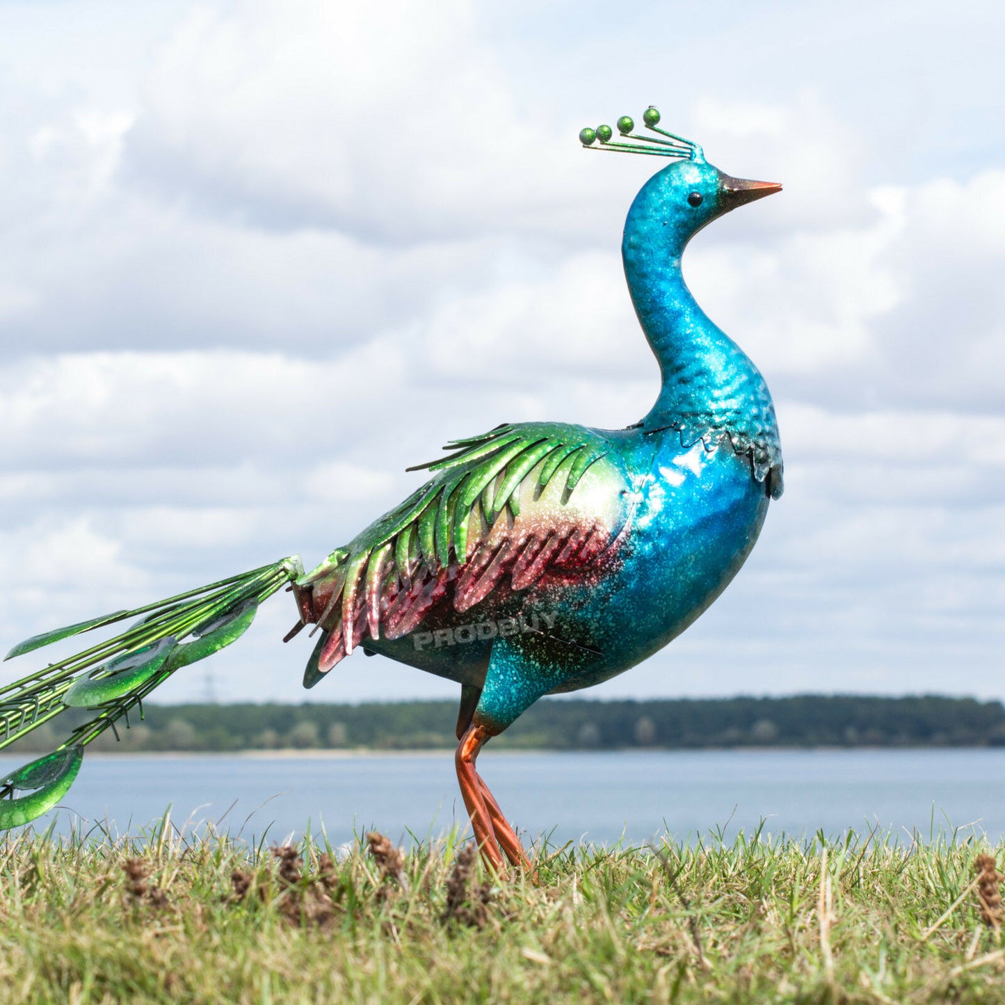 Large Exotic Peacock Metal Garden Ornament