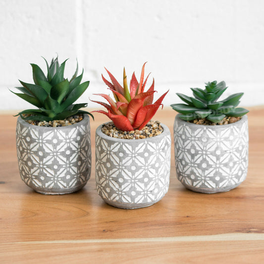 Artificial Succulent Cactus In Pot
