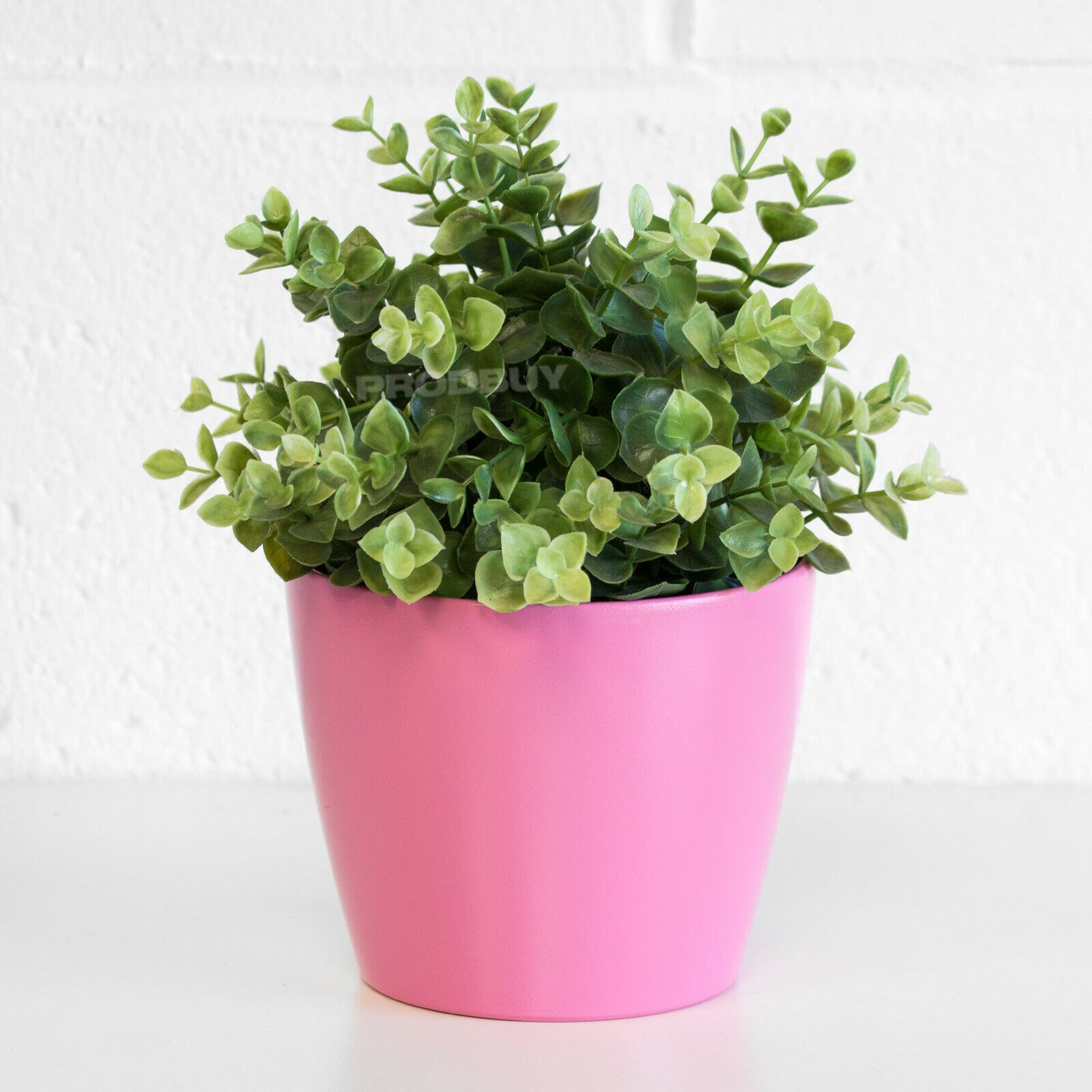 Colour Ceramic 1 Litre Plant Pot Cover