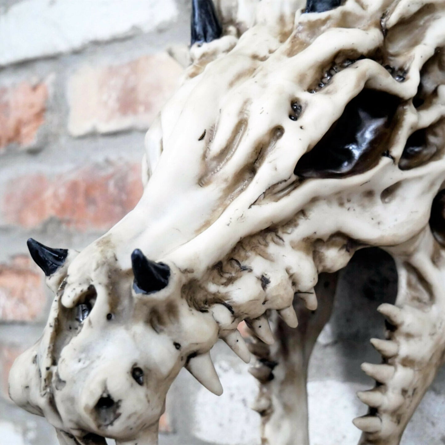 Dragon Skull Ornament 37cm Tall Wall Mounted Head
