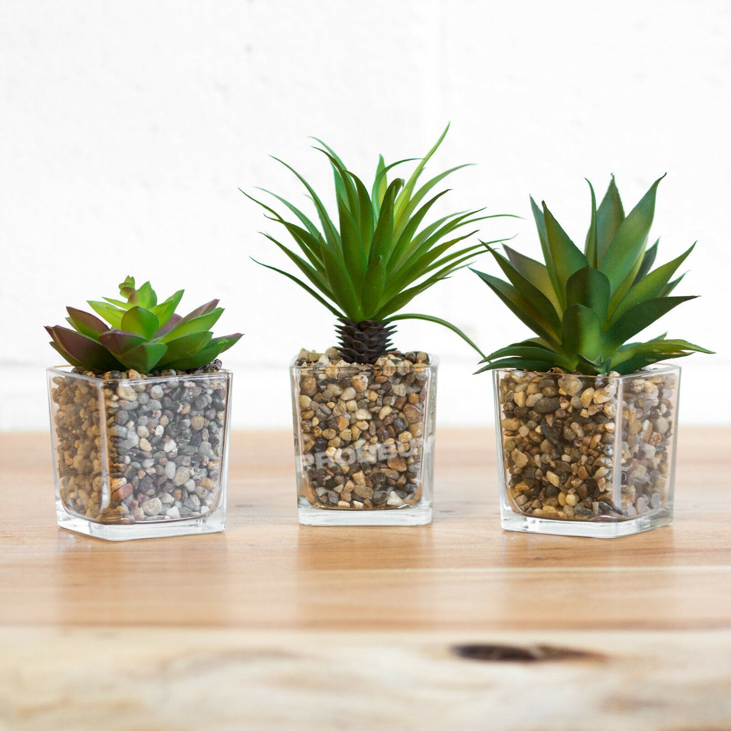 Set of 3 Artificial Succulents in Glass Jars