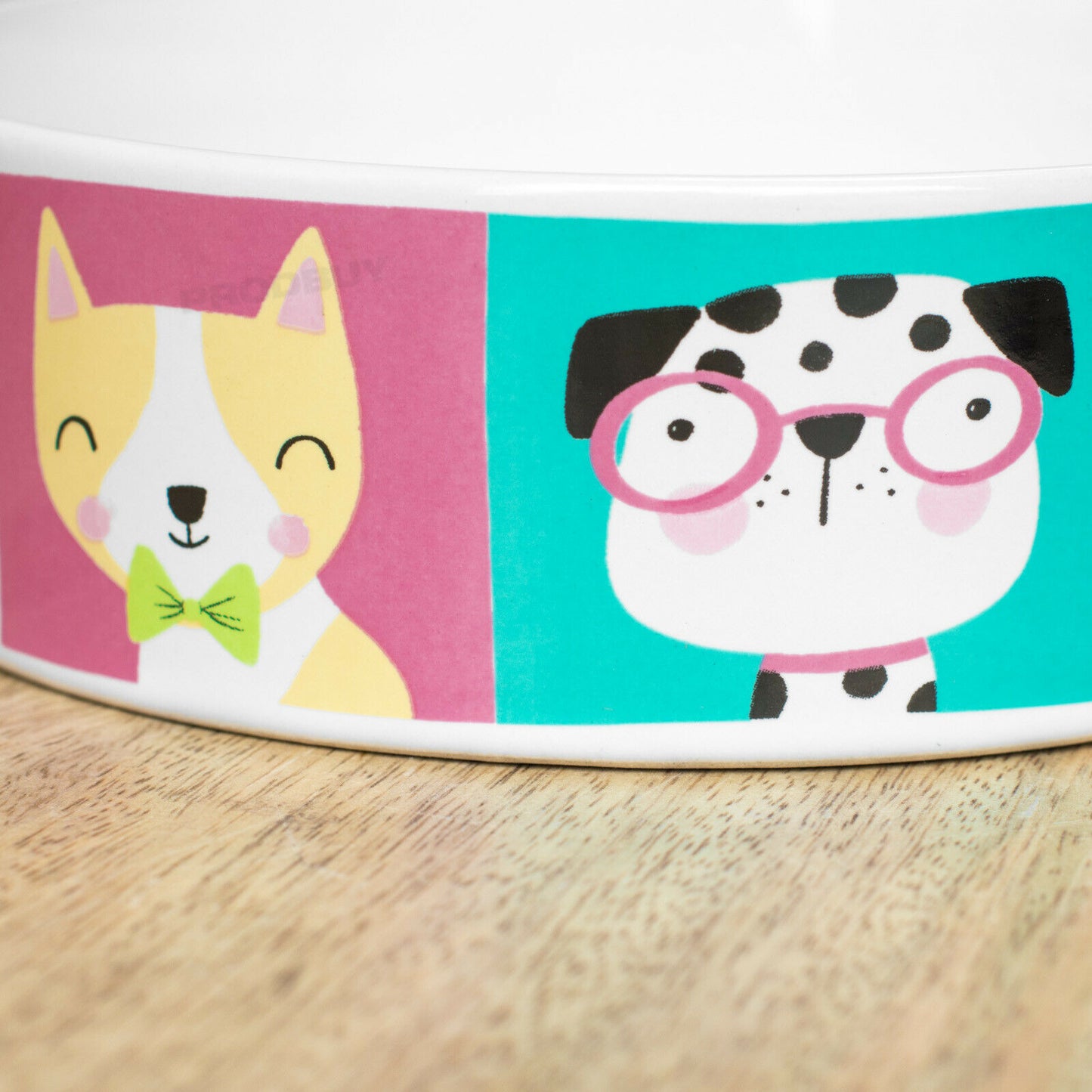 Dog Pawtraits Ceramic Pet Food Bowl