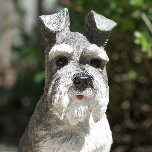 Grey Schnauzer Dog Resin Garden Ornament