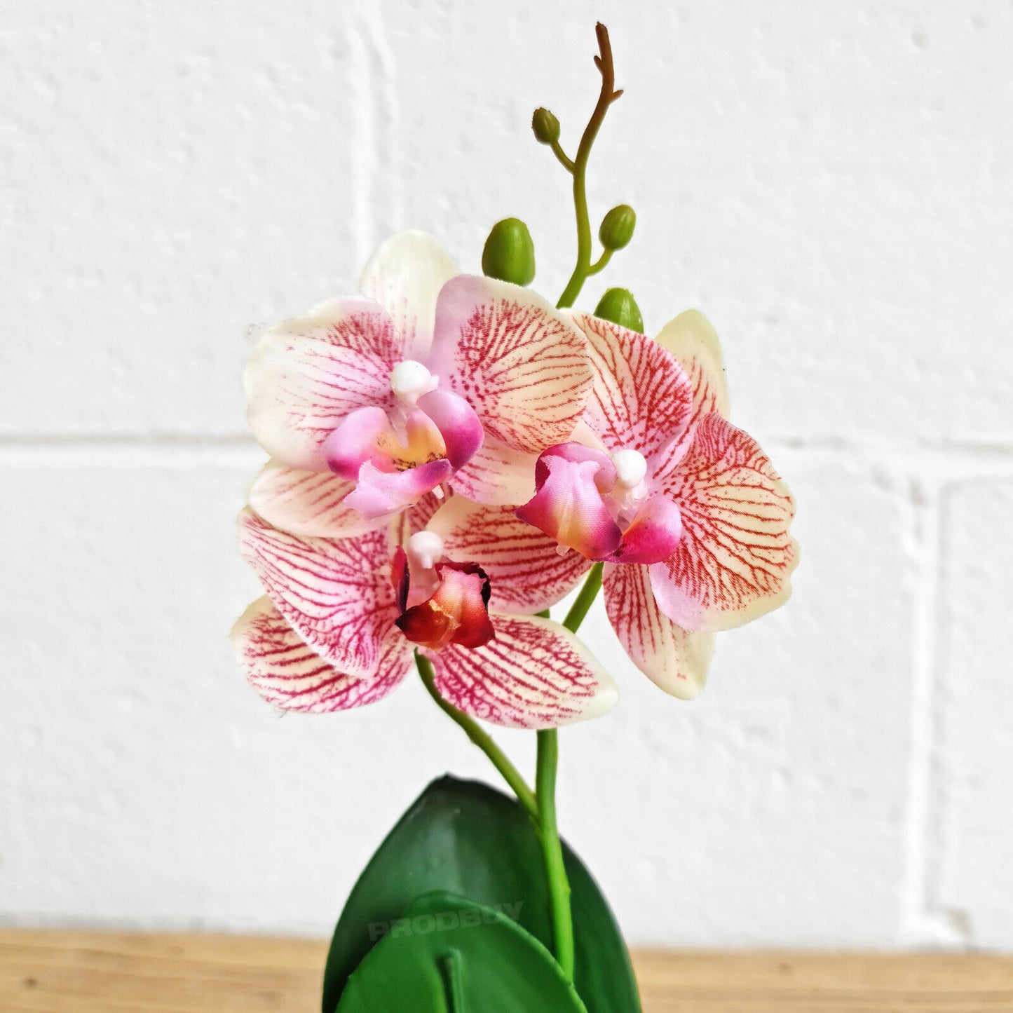 Artifical Pink Orchid House Plant In Pot