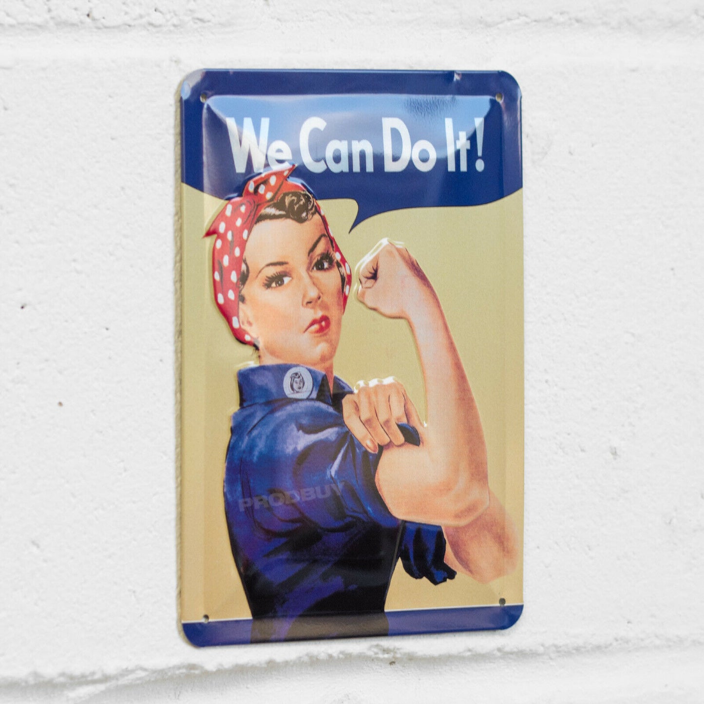 'We Can Do It' Small 20cm Metal Wall Sign