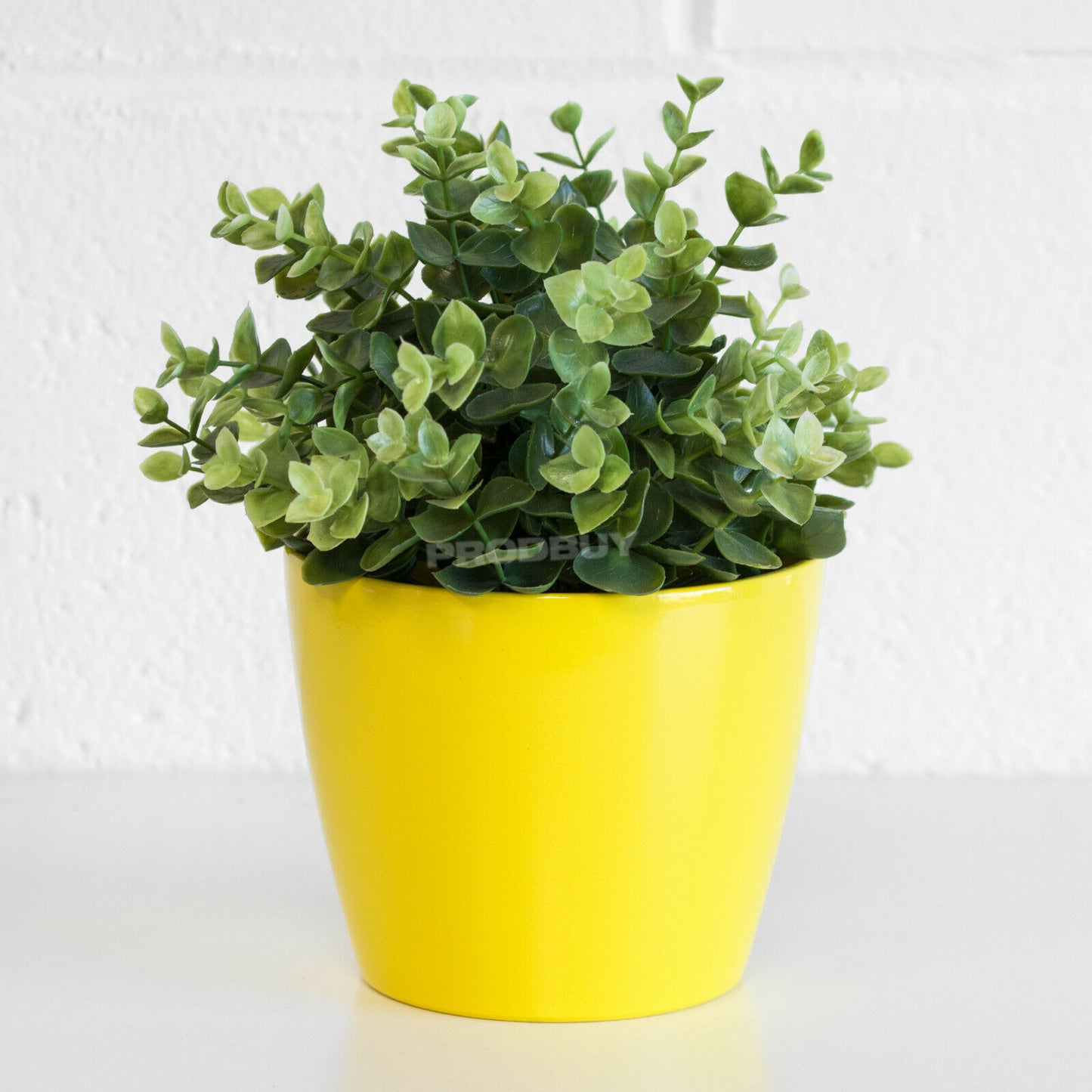 Colour Ceramic 1 Litre Plant Pot Cover