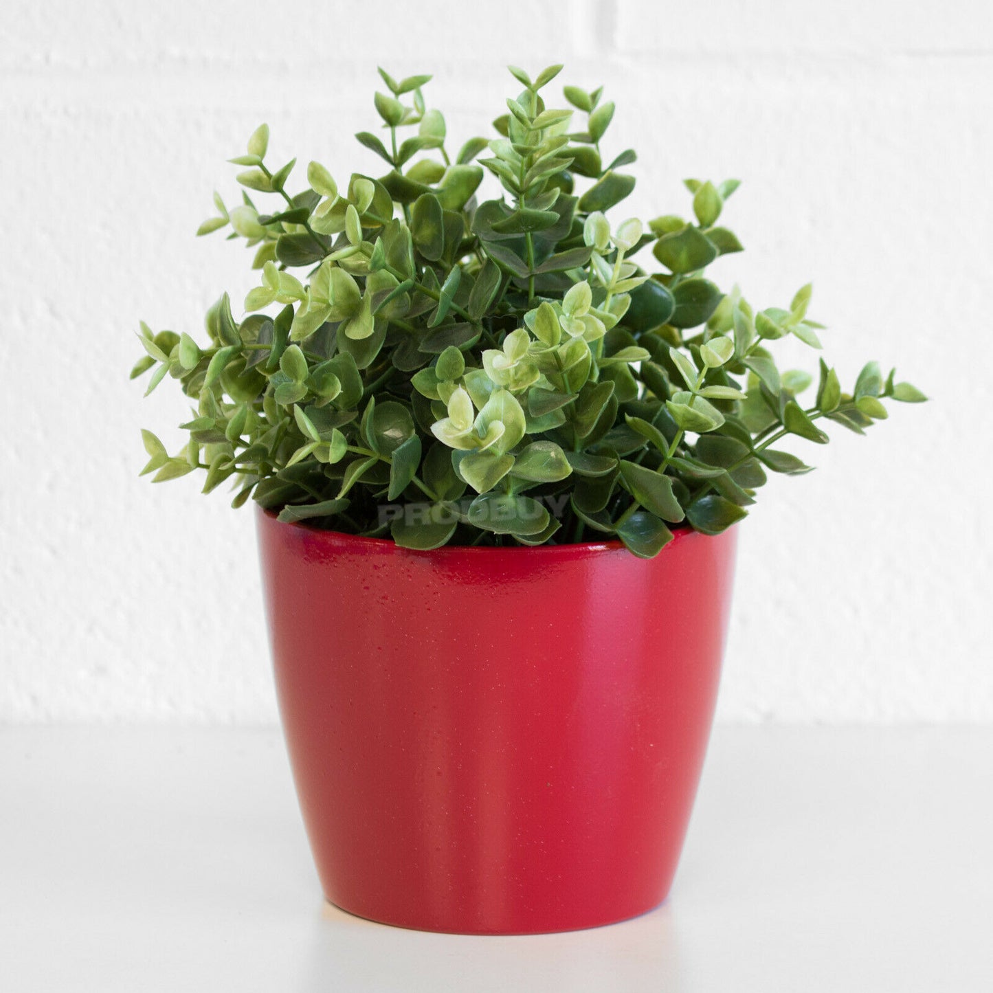 Colour Ceramic 1 Litre Plant Pot Cover