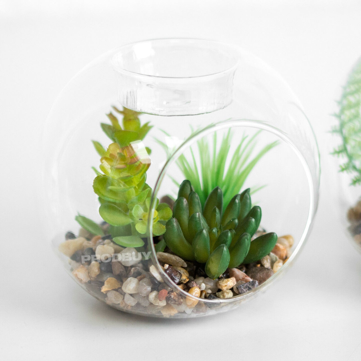 Set of 3 Artificial Cactus Glass Tealight Candle Holders