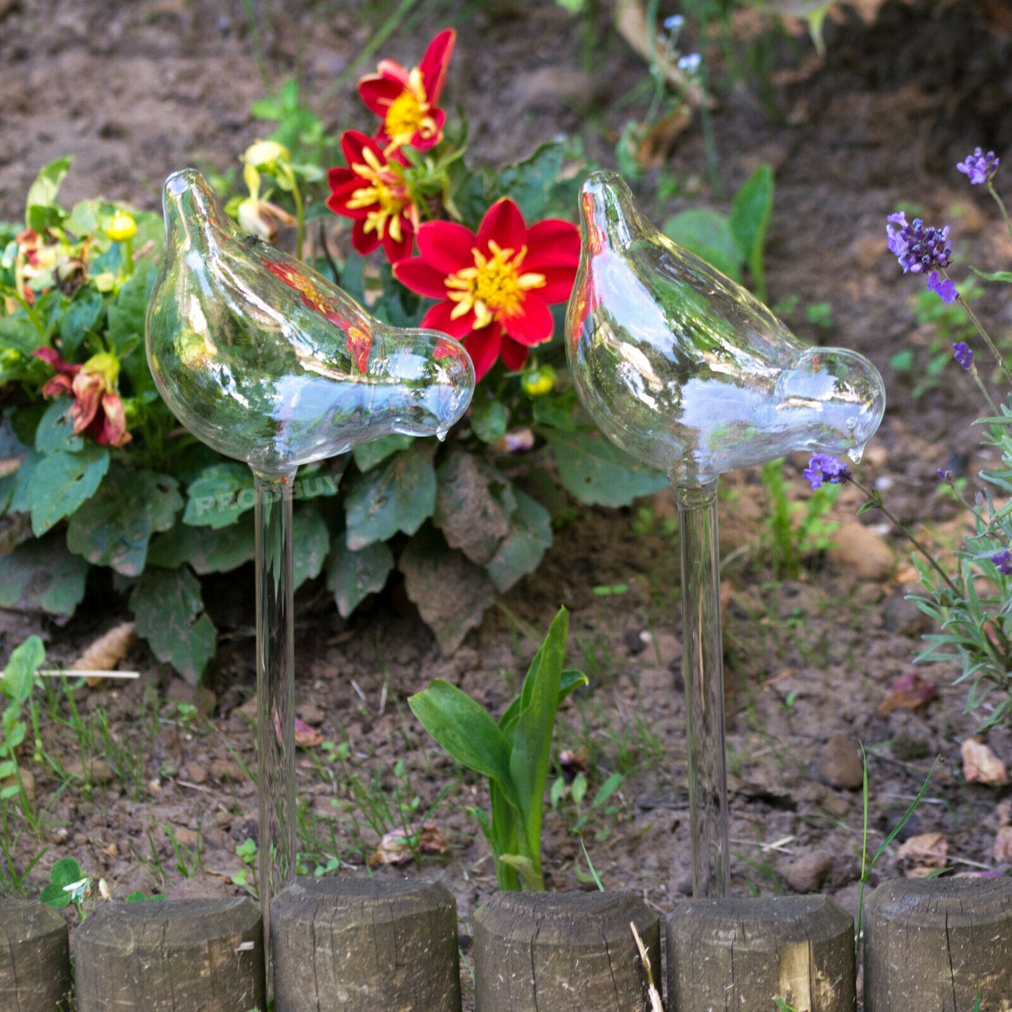 Set of 4 Glass Bird Garden Watering Sticks