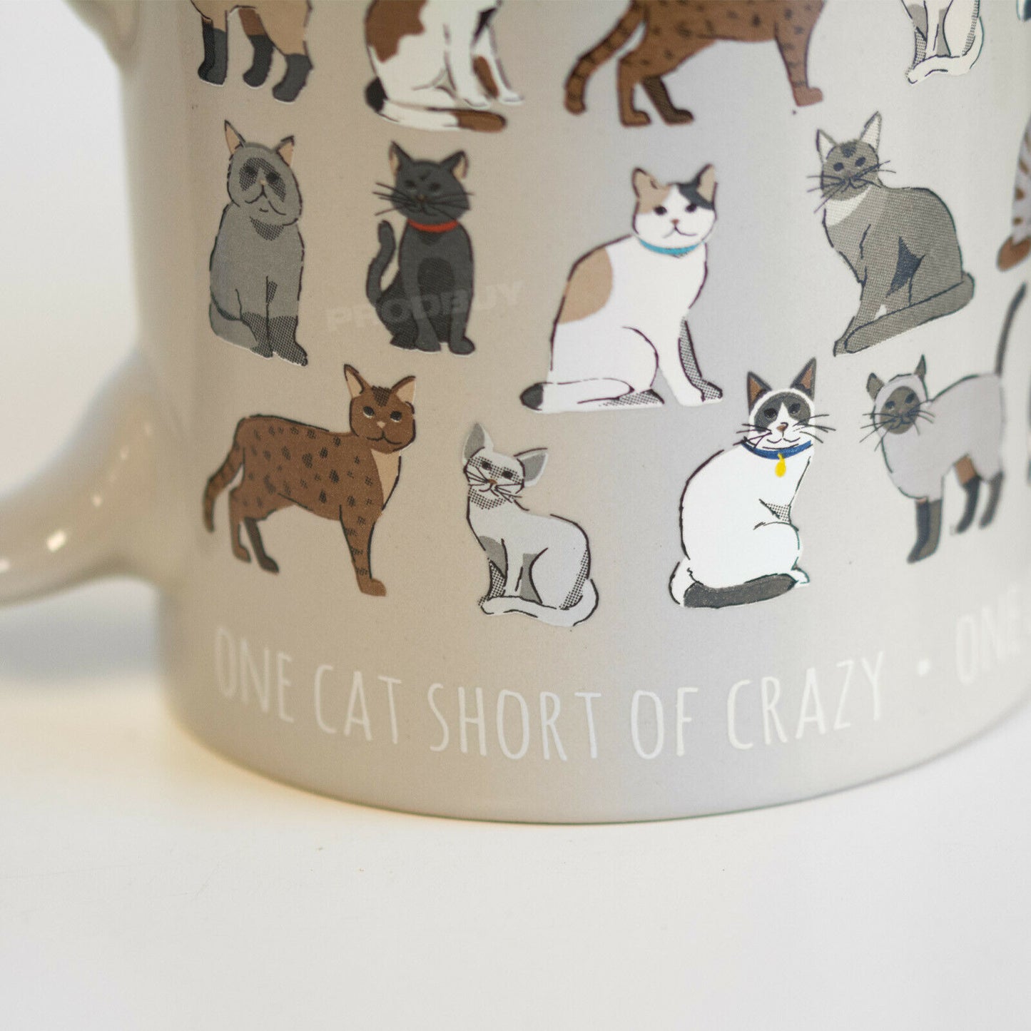 Set of 2 "One Cat Short of Crazy" Stoneware Coffee Mugs