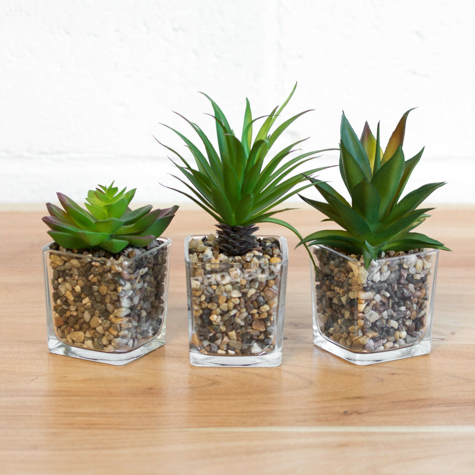 artificial succulents in glass containers Set of 3 Artificial Succulents in Glass Jars – Robert David Home