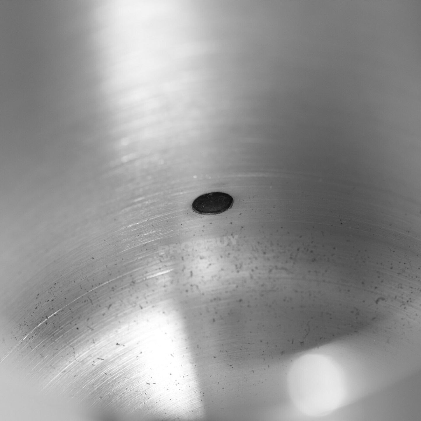 Small Stainless Steel 600ml Indoor Watering Can
