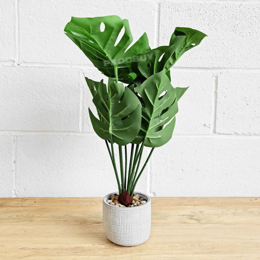 Large 50cm Artificial Cheese Leaf Indoor Plant & Pot