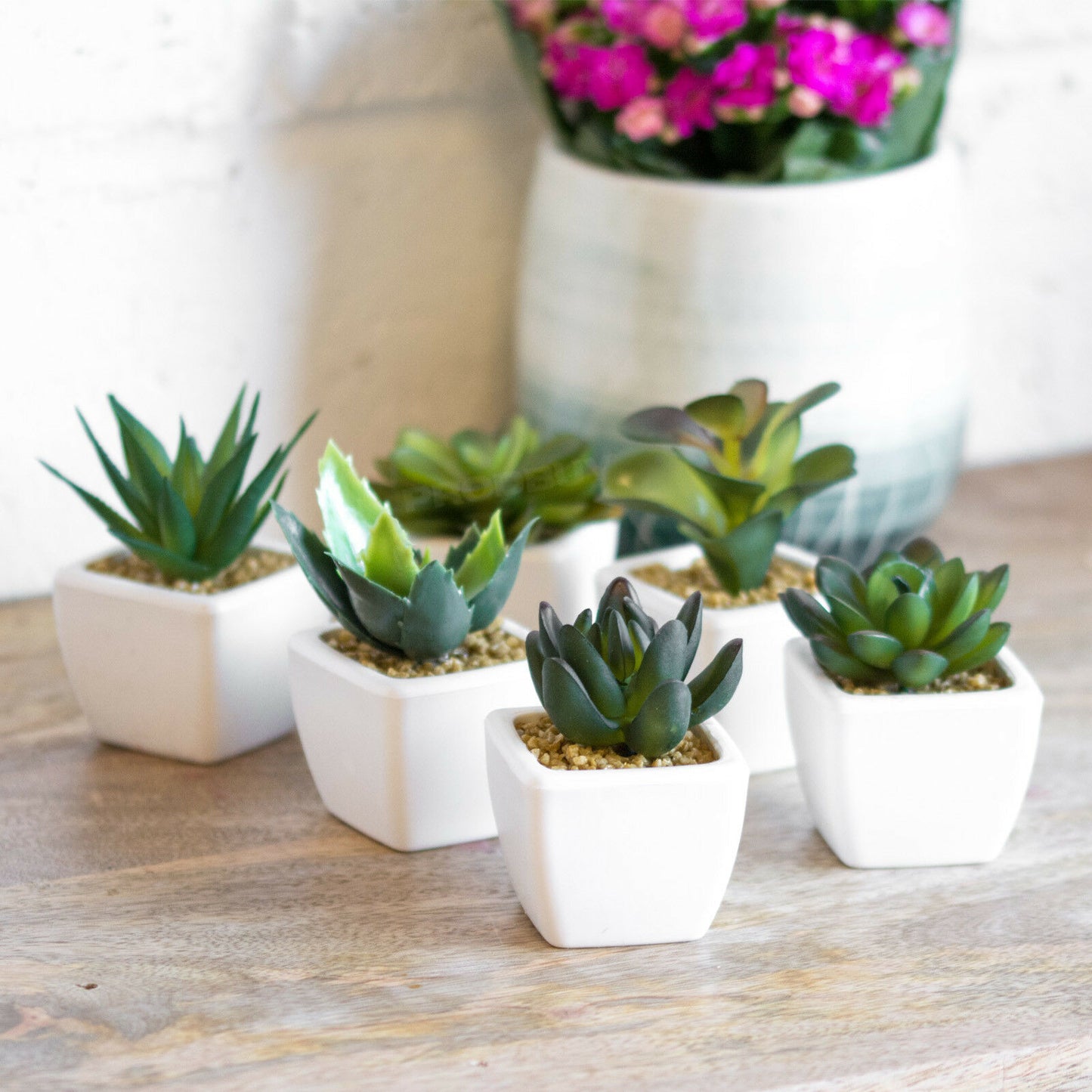 Set of 6 Miniature Artificial Indoor House Office Plants in Pots